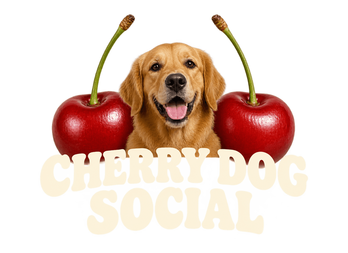 Cherry Dog Social: transparent production artwork without a garment or model