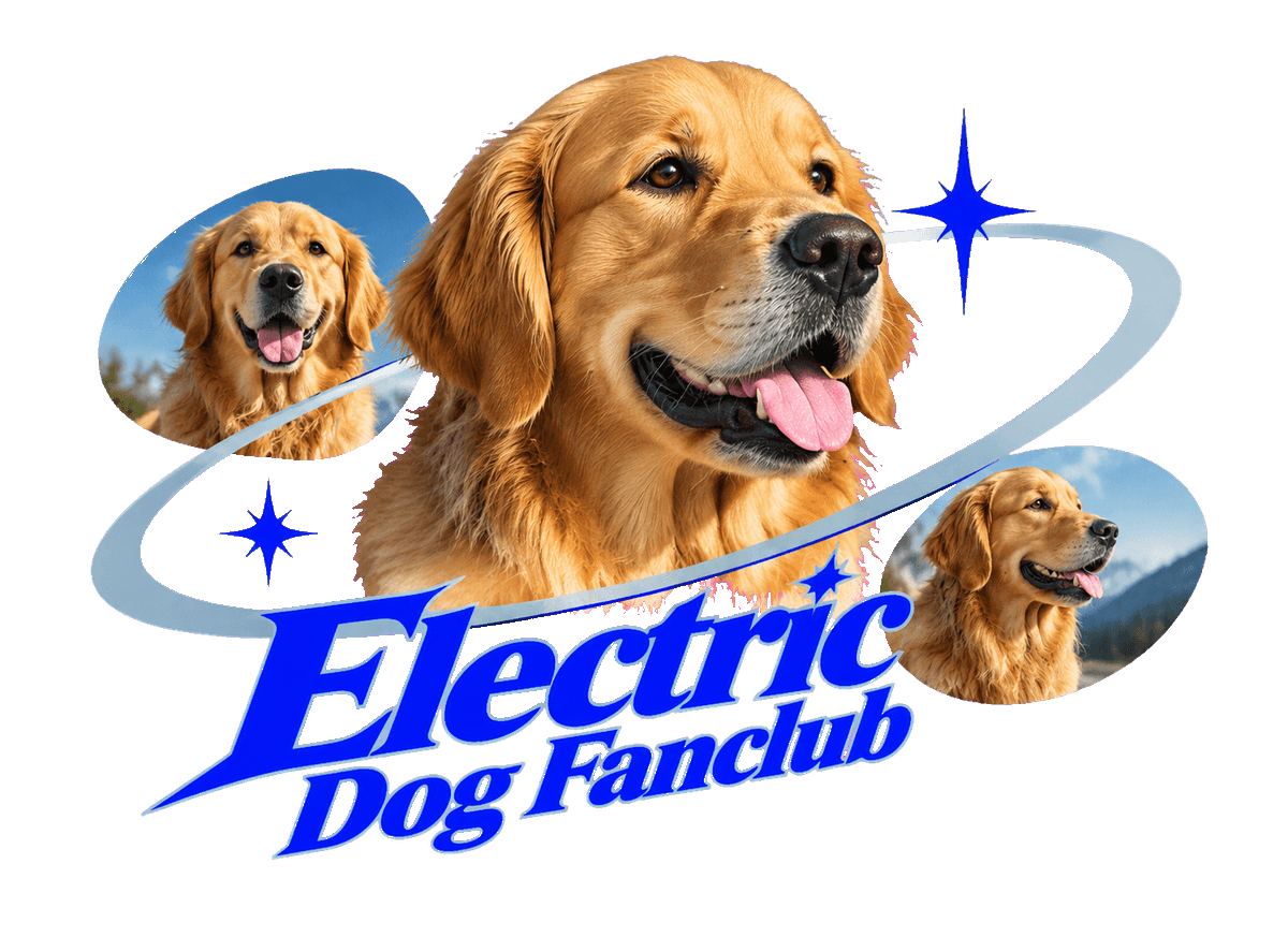 Electric Dog Fanclub: transparent production artwork without a garment or model