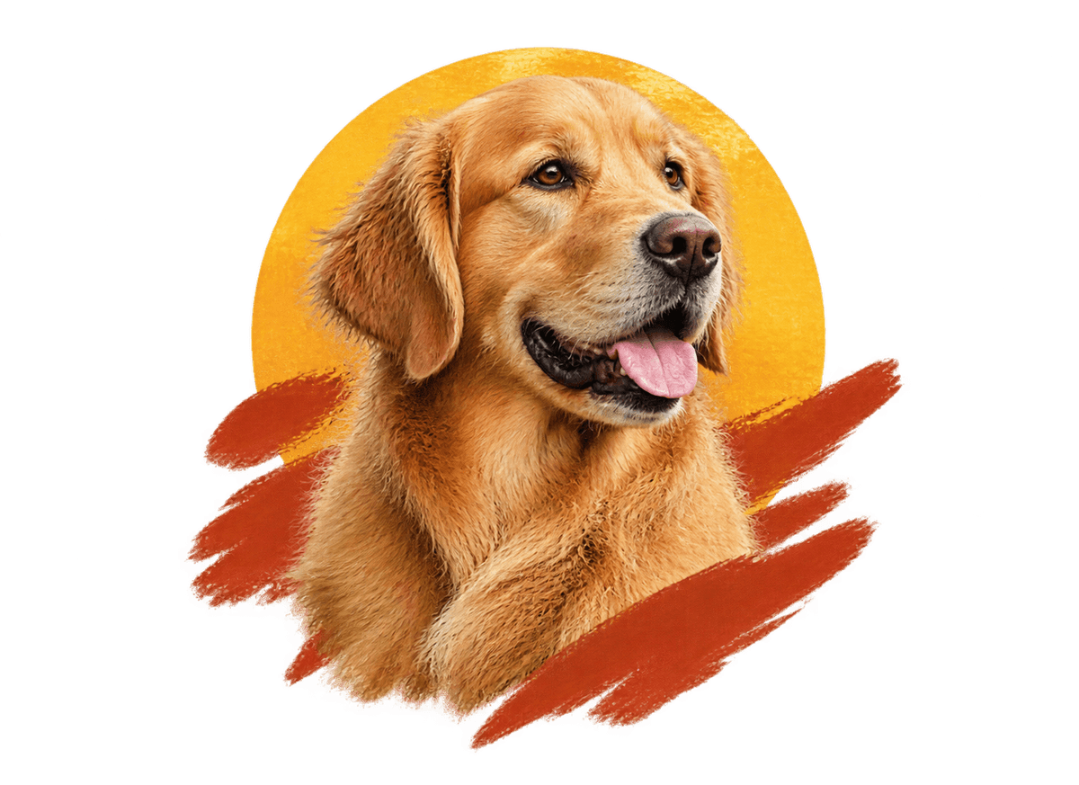 Golden Hour Retriever: transparent production artwork without a garment or model