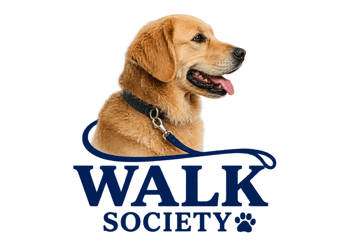 Dog Walk Society: transparent production artwork without a garment or model