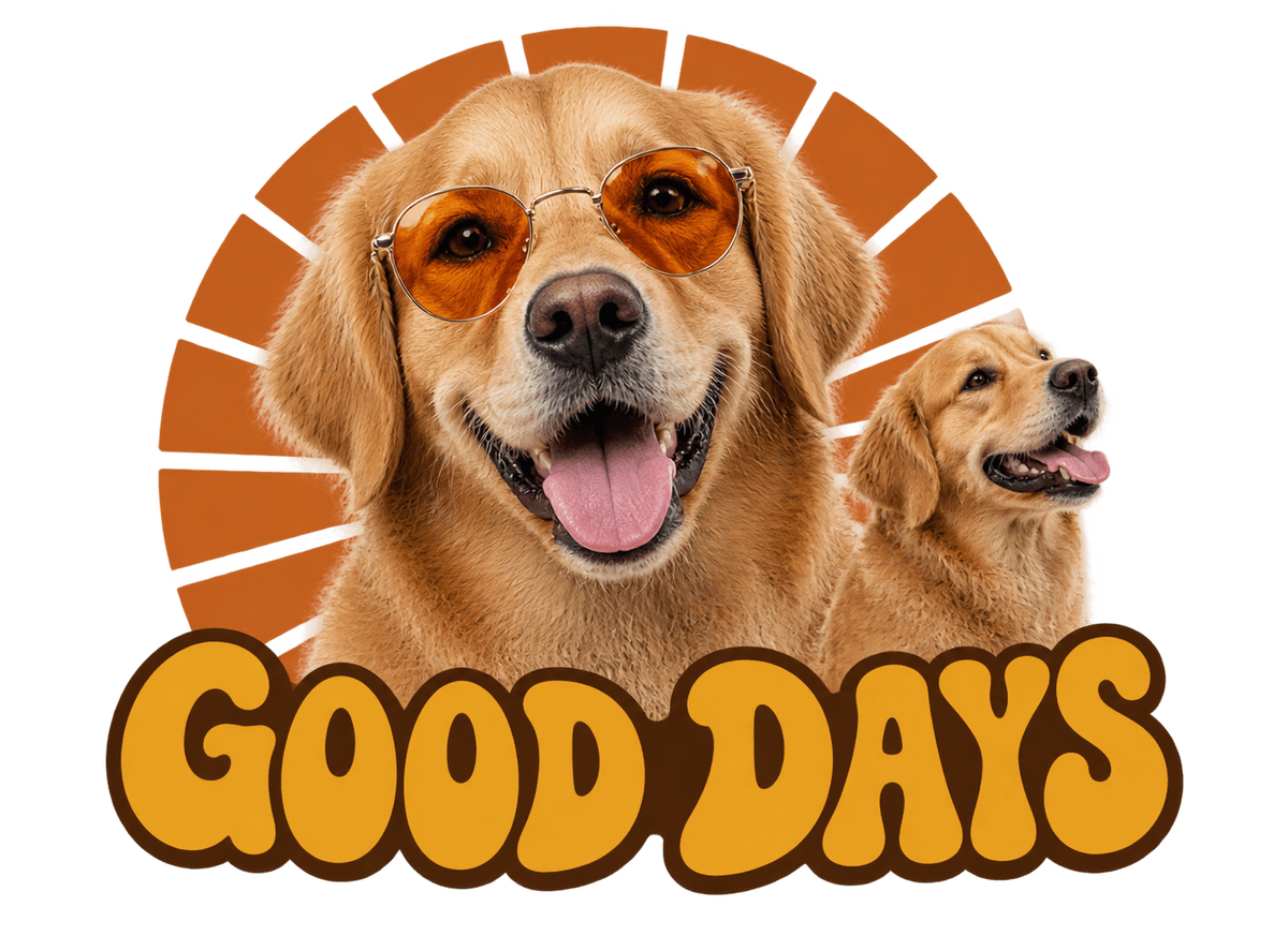 Dog Day Disco: transparent production artwork without a garment or model