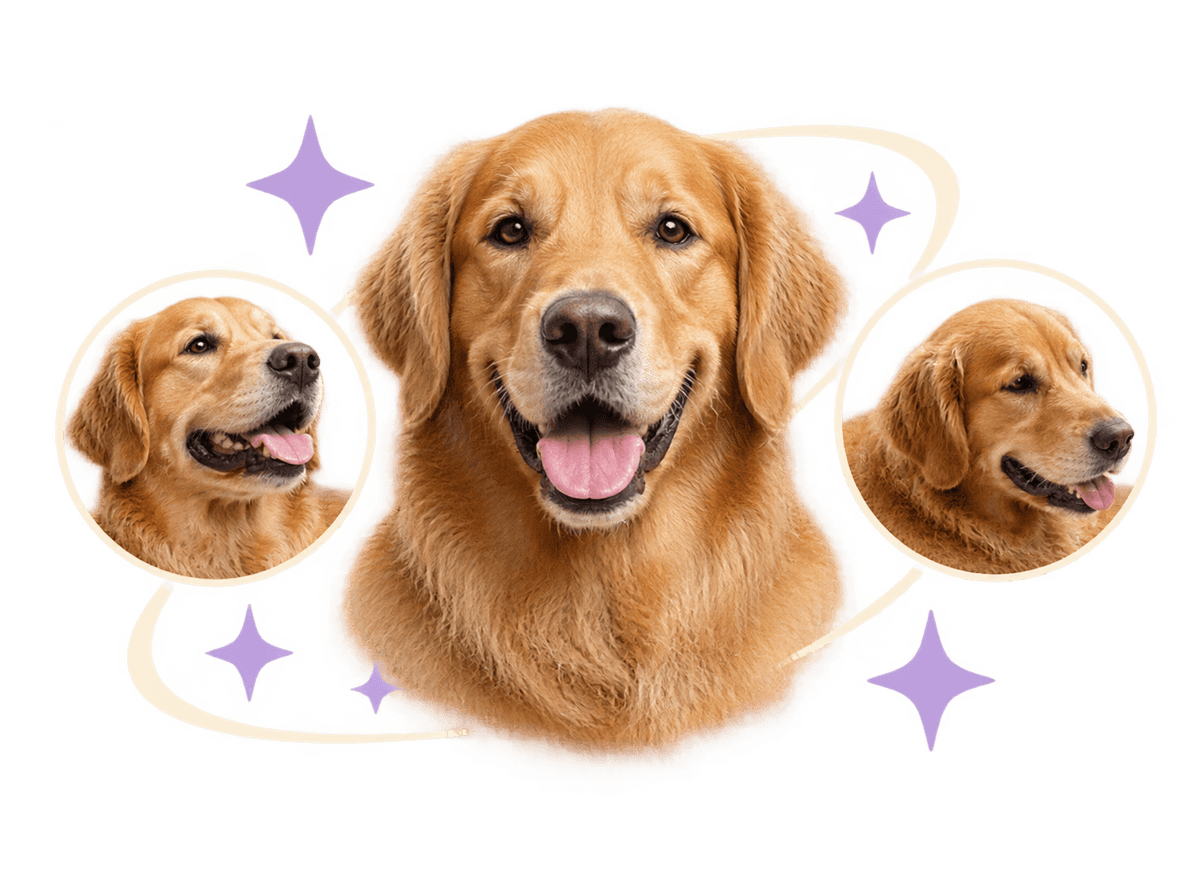Cosmic Dog Keepsake: transparent production artwork without a garment or model