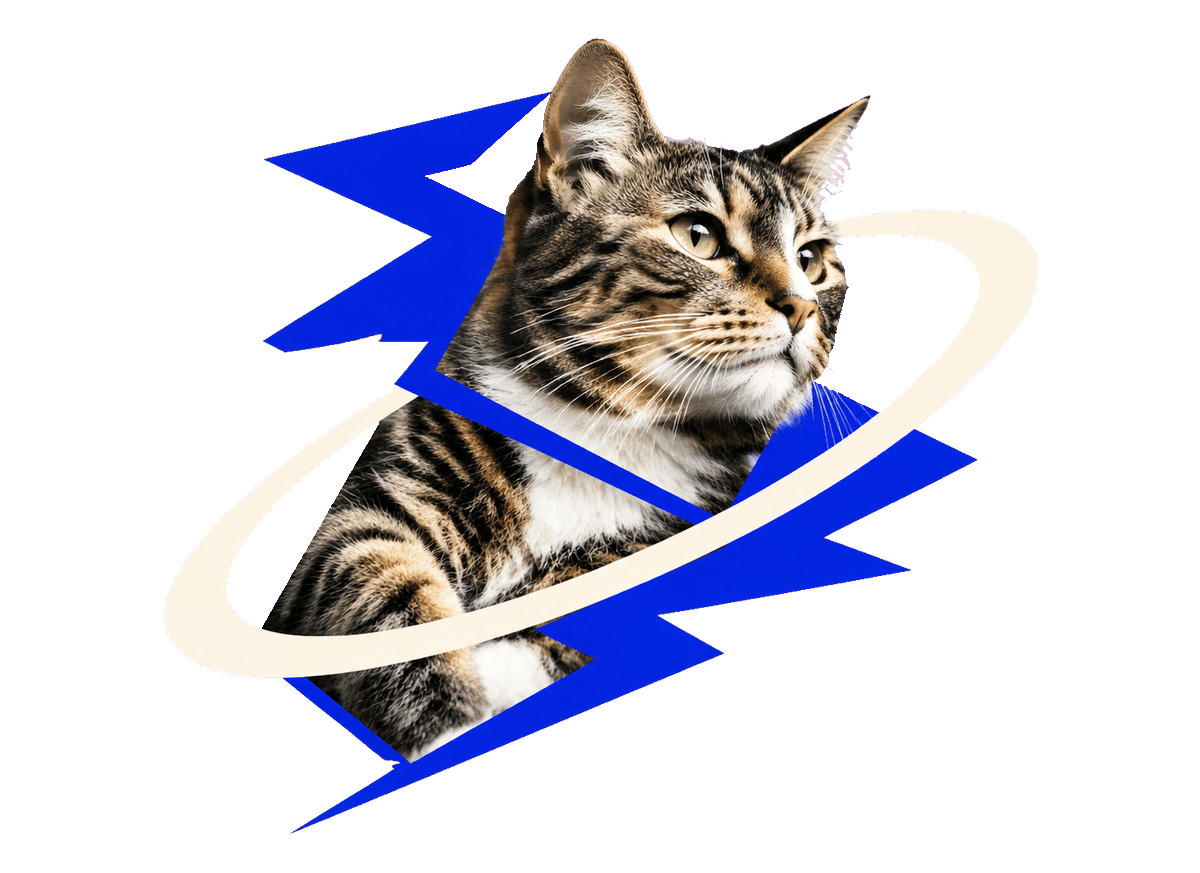 Electric Alley Cat: transparent production artwork without a garment or model