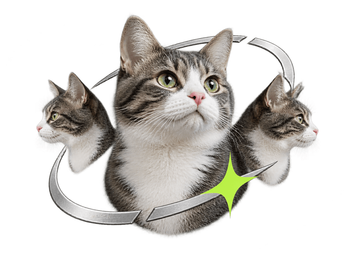 Silver Cat Orbit: transparent production artwork without a garment or model