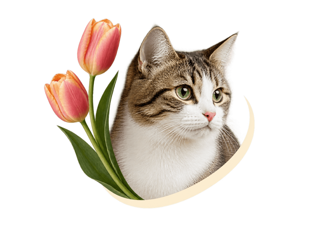 Tulip Cat Frame: transparent production artwork without a garment or model