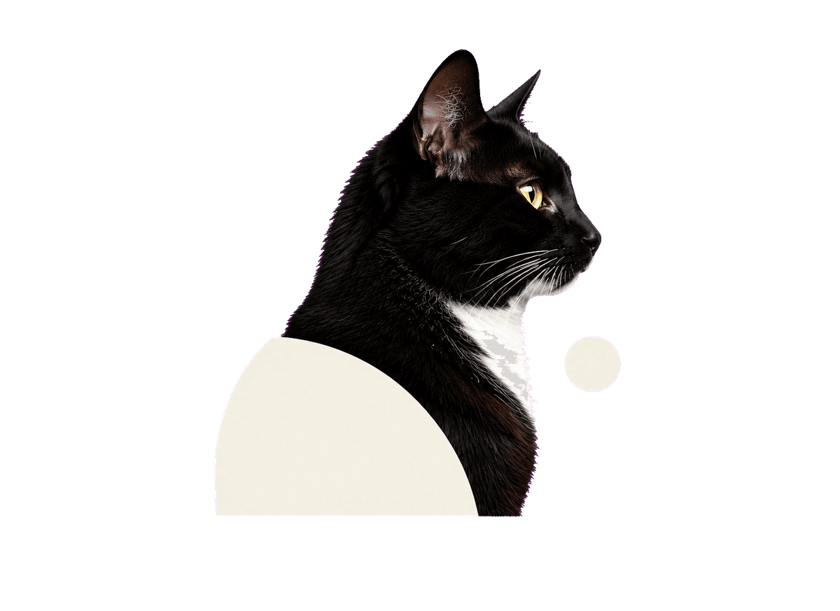 Cat Silhouette Journal: transparent production artwork without a garment or model