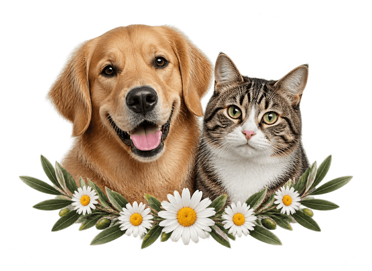Two Pet Wildflowers: transparent production artwork without a garment or model