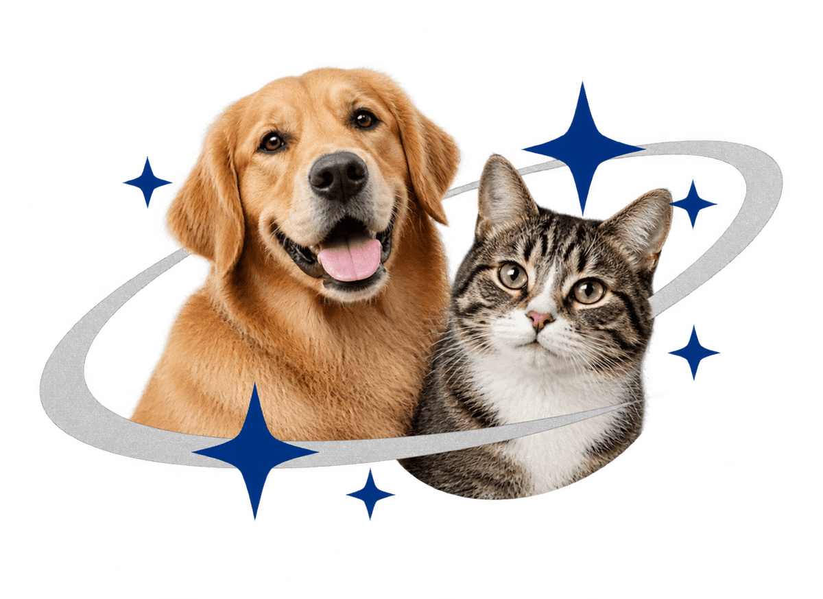 Cat Dog Night Shift: transparent production artwork without a garment or model