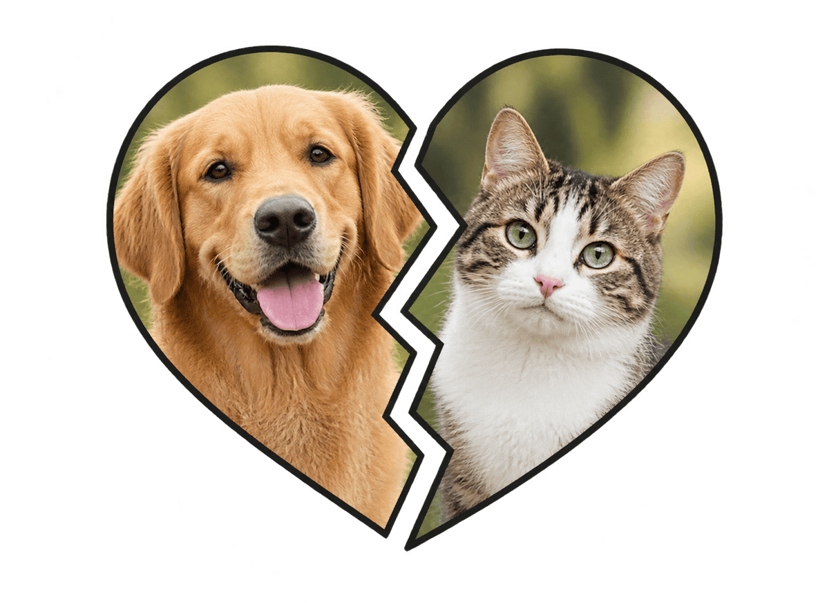 Pet Duo Heart: transparent production artwork without a garment or model