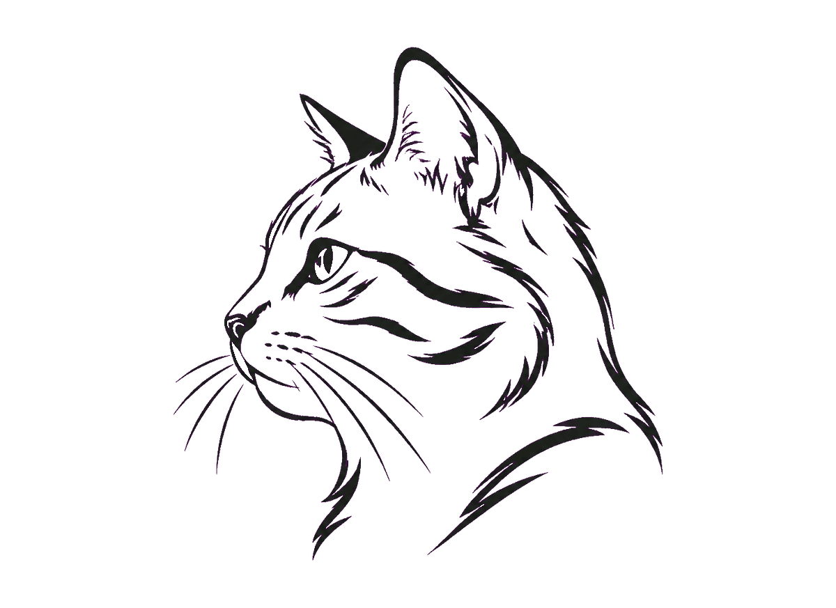Cat Memory Contour: transparent production artwork without a garment or model