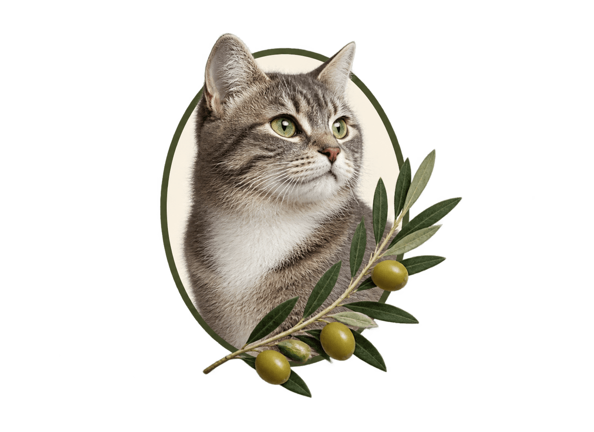 Cat Olive Silhouette: transparent production artwork without a garment or model