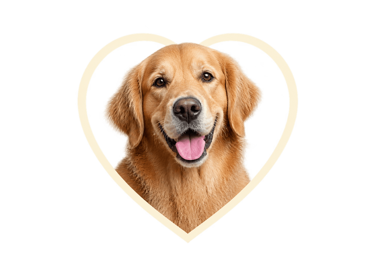 Always My Dog: transparent production artwork without a garment or model