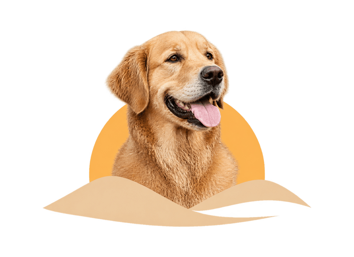 Dog Lasting Light: transparent production artwork without a garment or model