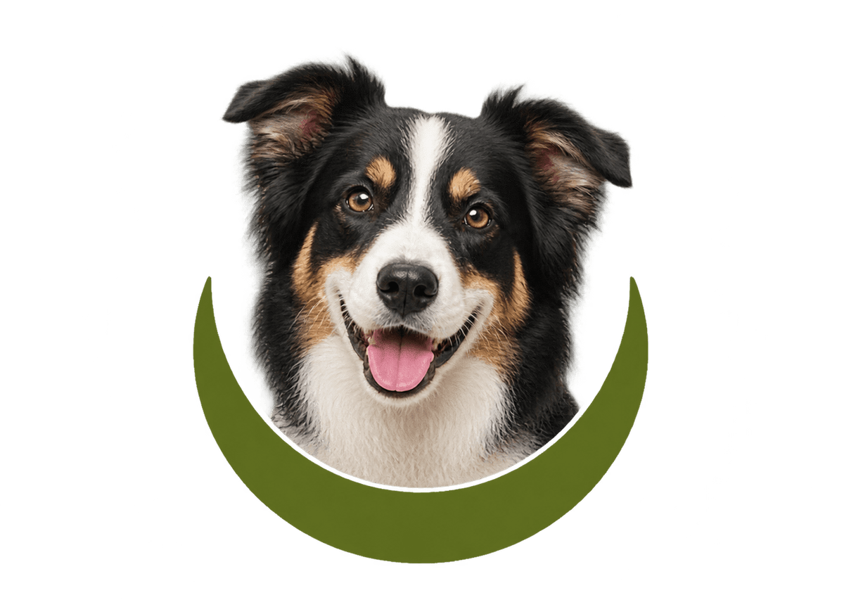 Dog Olive Keepsake: transparent production artwork without a garment or model