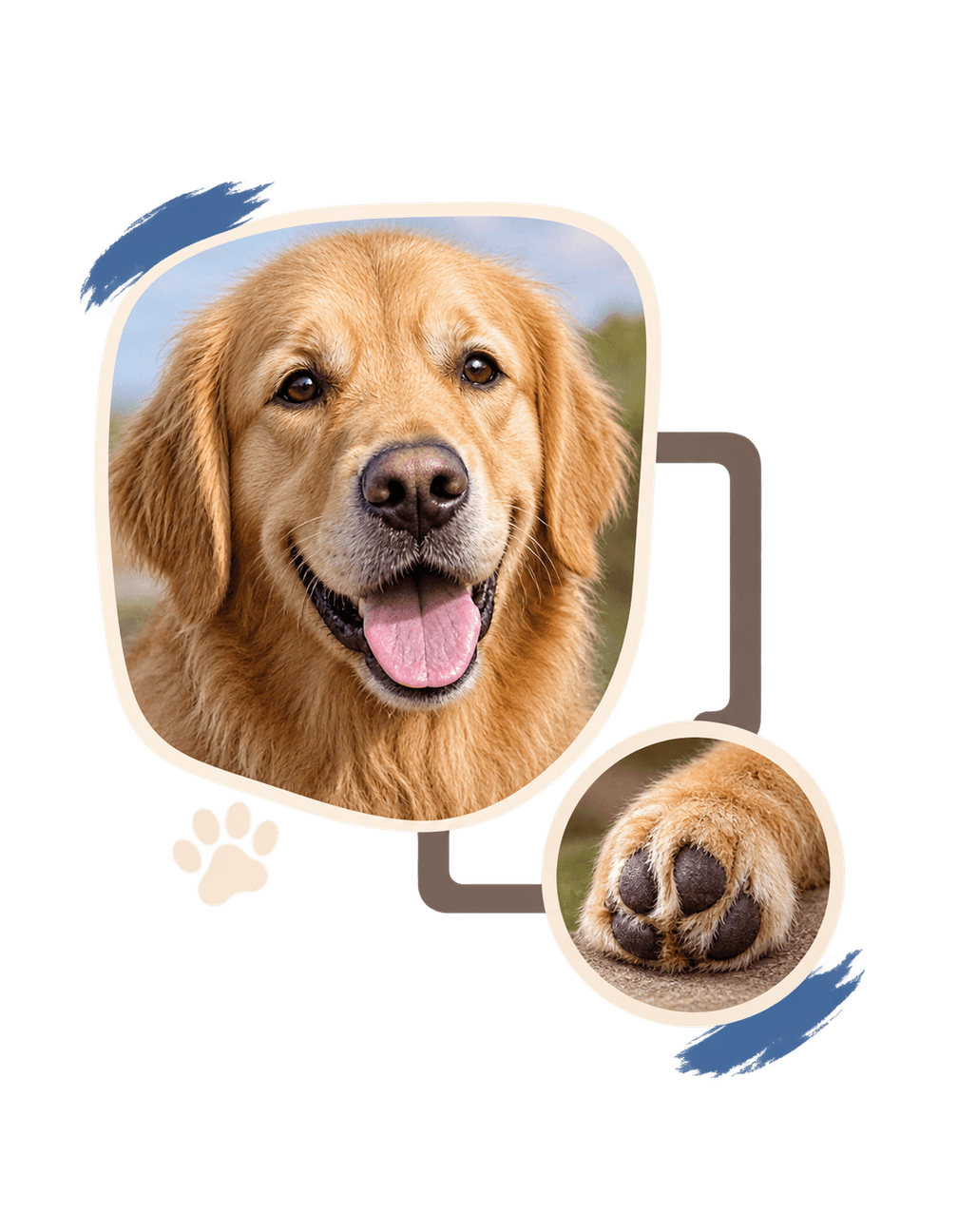 My Dog Contact Print original isolated transparent print artwork