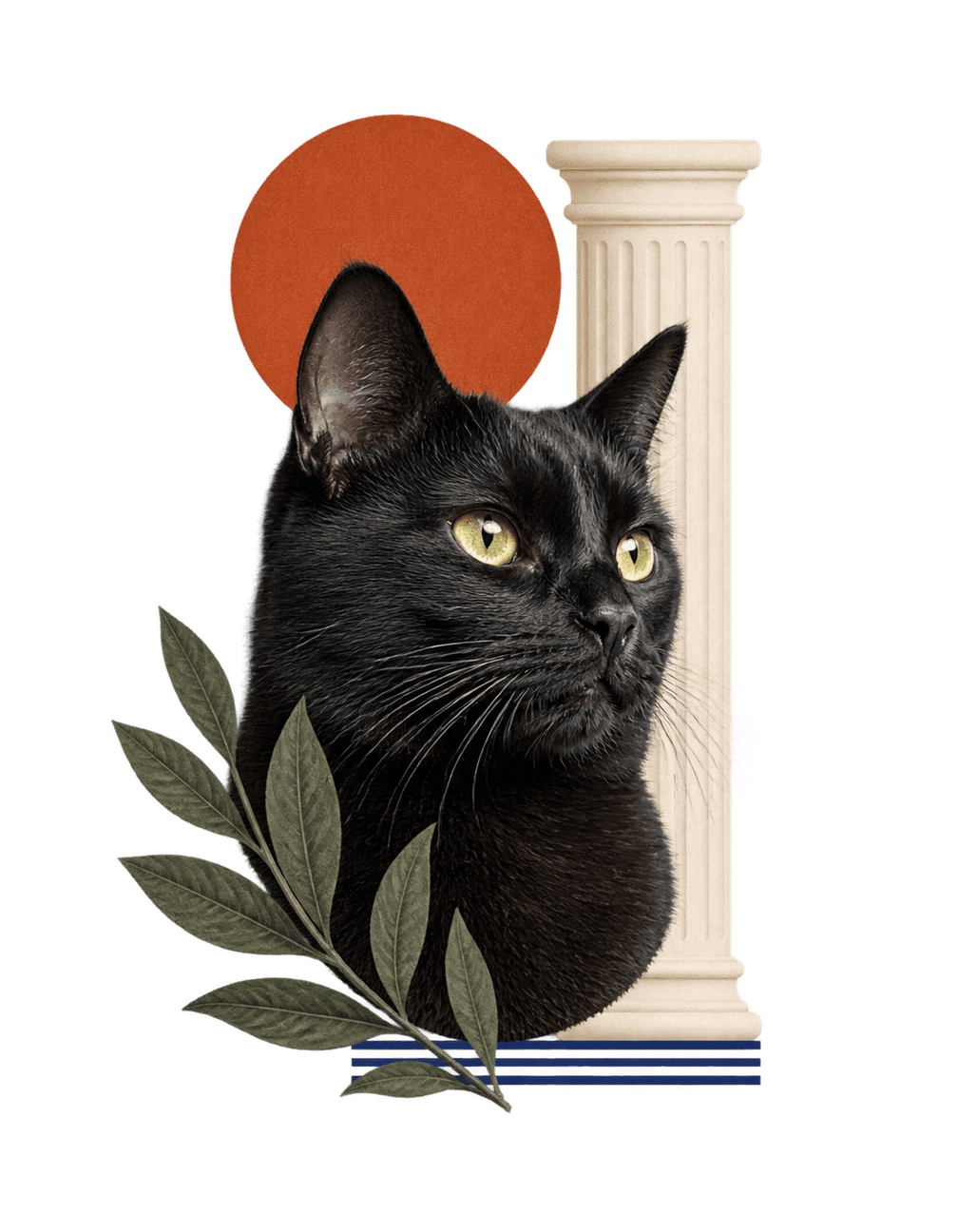 Velvet Paw Press original isolated transparent print artwork