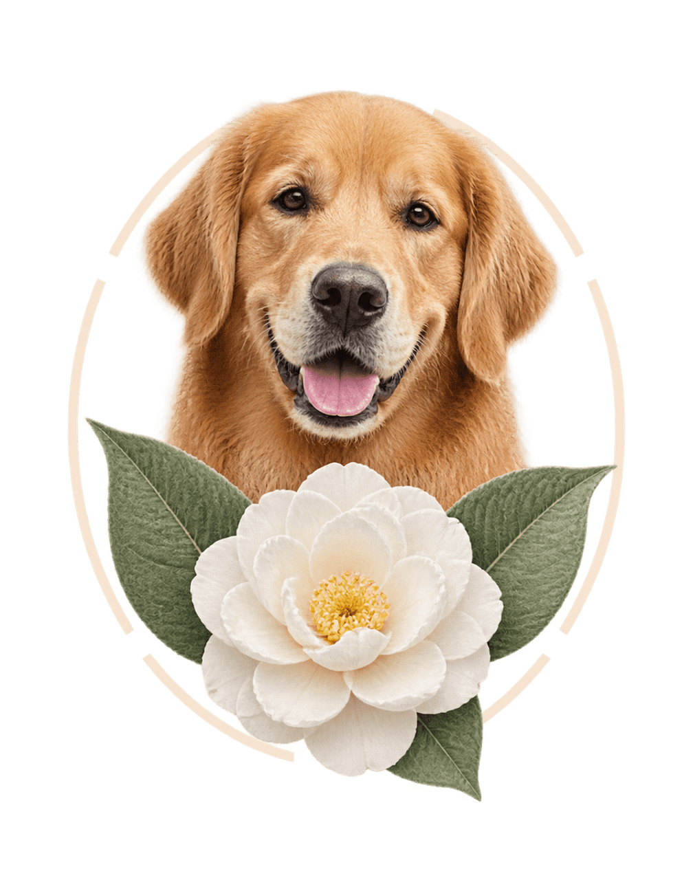 Dog Memory Garden Window original isolated transparent print artwork