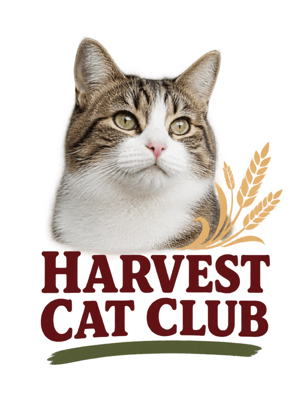 Harvest Cat Portrait Club original isolated transparent print artwork