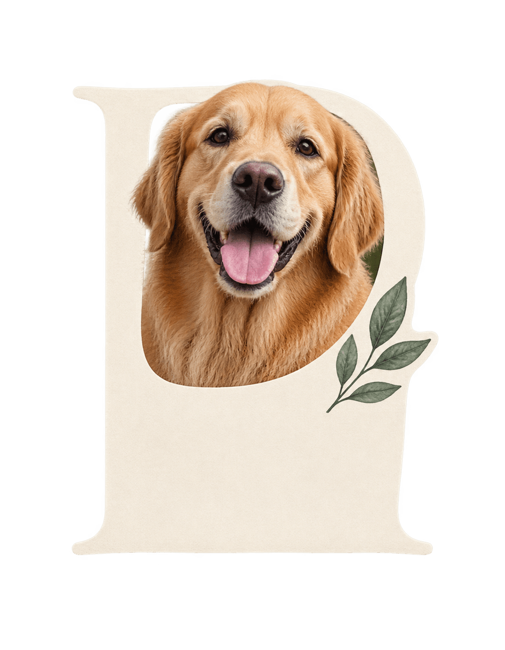 Dog Keepsake Photo Letter original isolated transparent print artwork