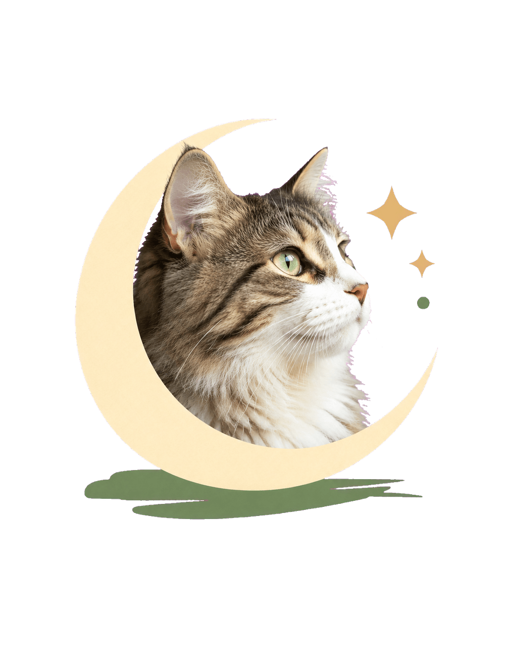 Cat Memory Moon Window original isolated transparent print artwork